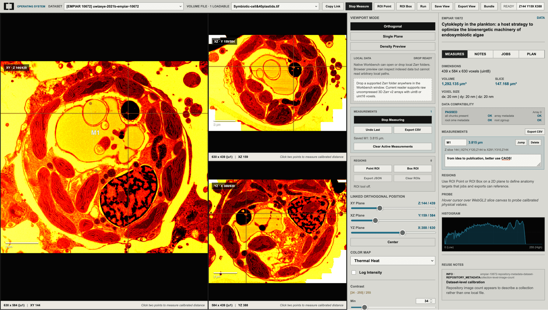 CAOS local Workbench prototype showing orthogonal microscopy views and measurement tools