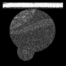FIBSEM/amst_crop_0108.tif middle slice