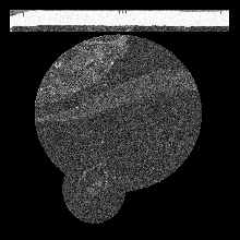 FIBSEM/amst_crop_0135.tif middle slice