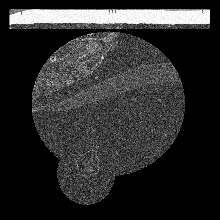 FIBSEM/amst_crop_0138.tif middle slice