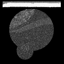 FIBSEM/amst_crop_0140.tif middle slice