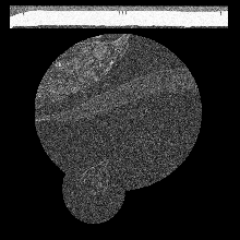 FIBSEM/amst_crop_0141.tif middle slice