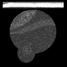 FIBSEM/amst_crop_0167.tif middle slice