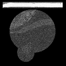 FIBSEM/amst_crop_0168.tif middle slice