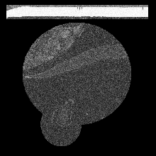 FIBSEM/amst_crop_0171.tif middle slice